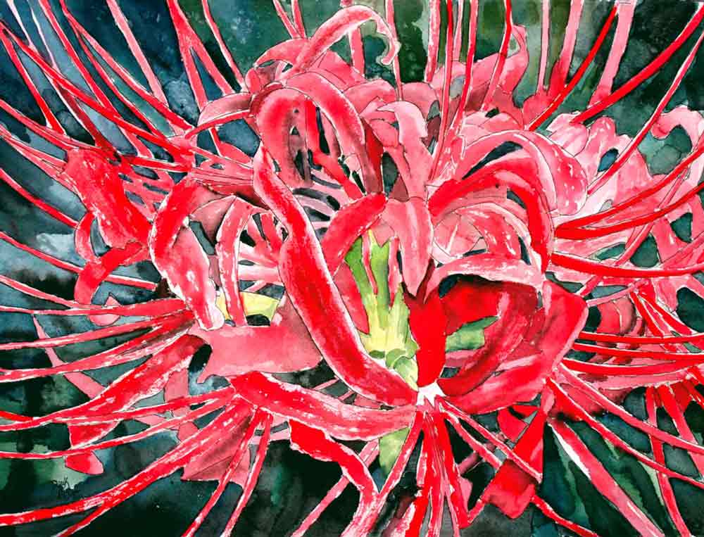 Spider Lily by Derek McCrea Ceramic Accent & Decor Tile DMA072AT