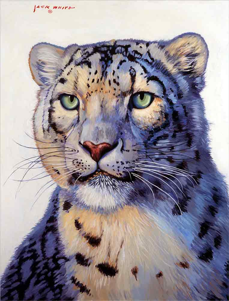 Snow Leopard by Jack White Ceramic Accent & Decor Tile JWA022AT