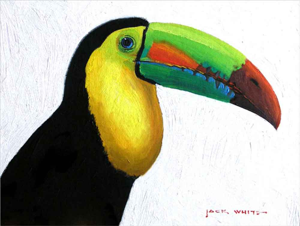 Toucan by Jack White Ceramic Accent & Decor Tile JWA033AT