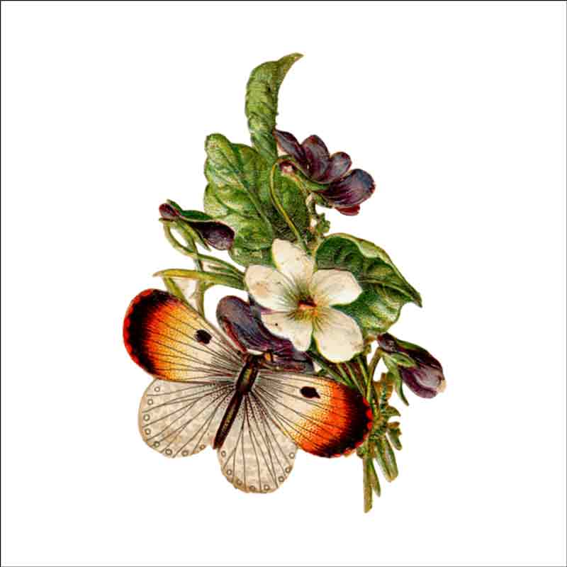 Vintage Butterfly 017 by DP Art Ceramic Accent & Decor Tile ABF017AT