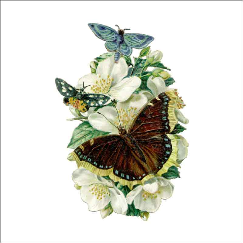 Vintage Butterfly 047 by DP Art Ceramic Accent & Decor Tile ABF047AT