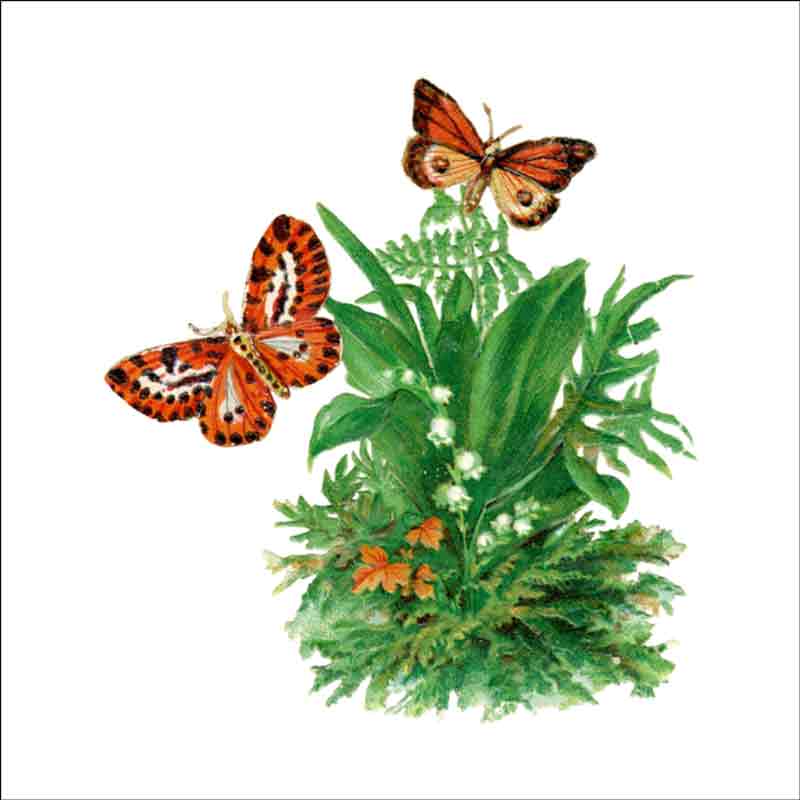 Vintage Butterfly 057 by DP Art Ceramic Accent & Decor Tile ABF057AT