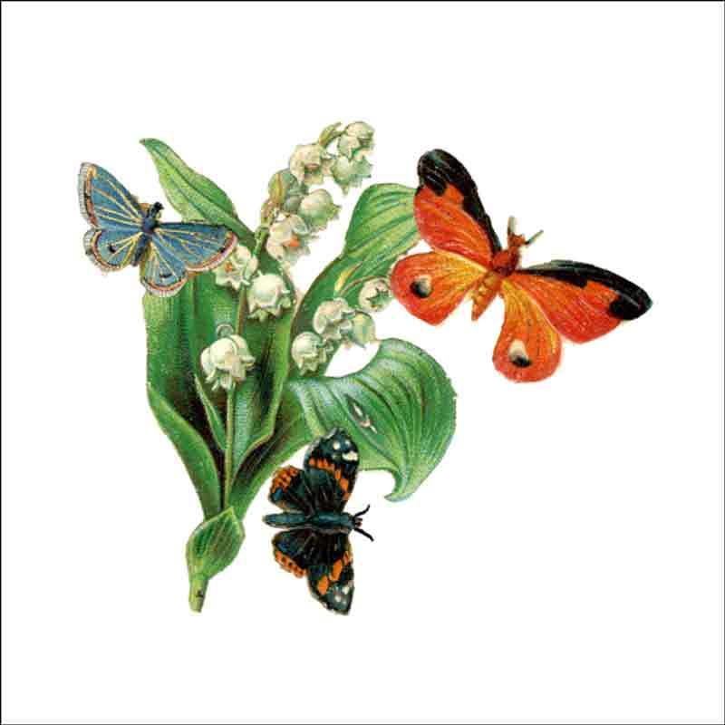 Vintage Butterfly 095 by DP Art Ceramic Accent & Decor Tile ABF095AT