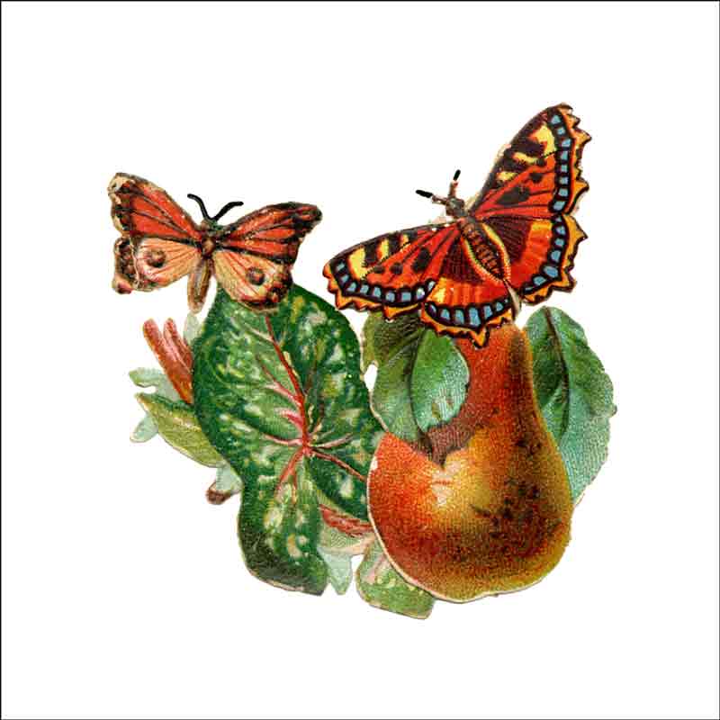 Vintage Butterfly 103 by DP Art Ceramic Accent & Decor Tile ABF103AT