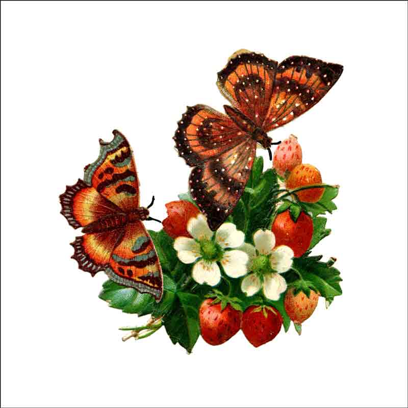 Vintage Butterfly 143 by DP Art Ceramic Accent & Decor Tile ABF143AT