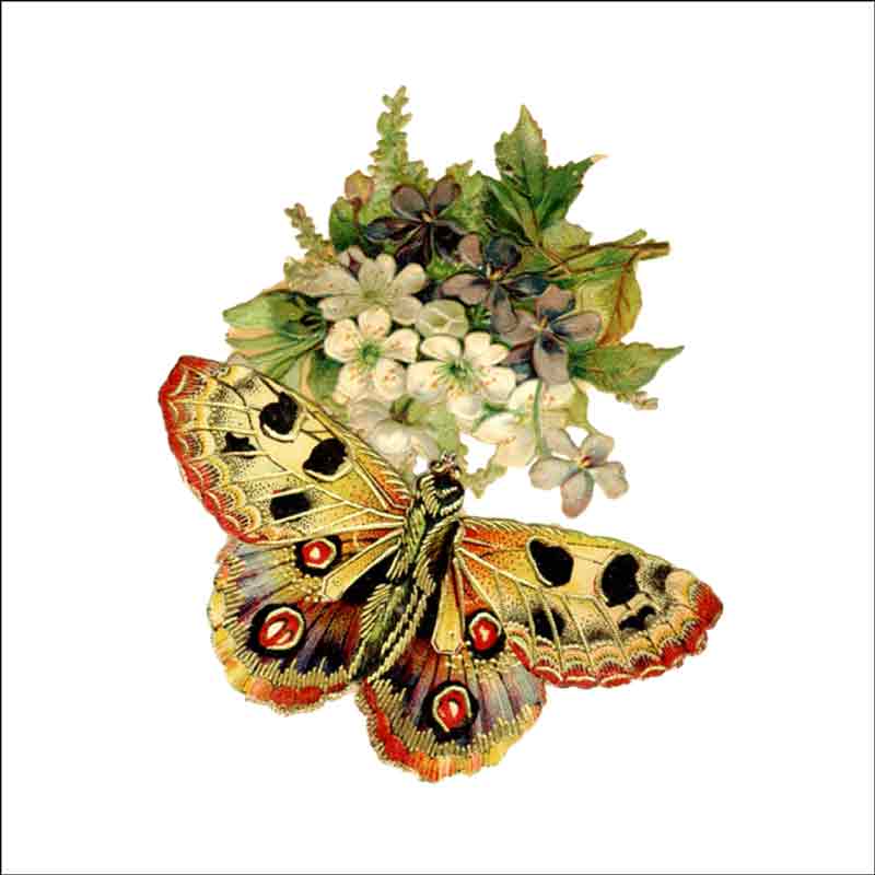 Vintage Butterfly 151 by DP Art Ceramic Accent & Decor Tile ABF151AT