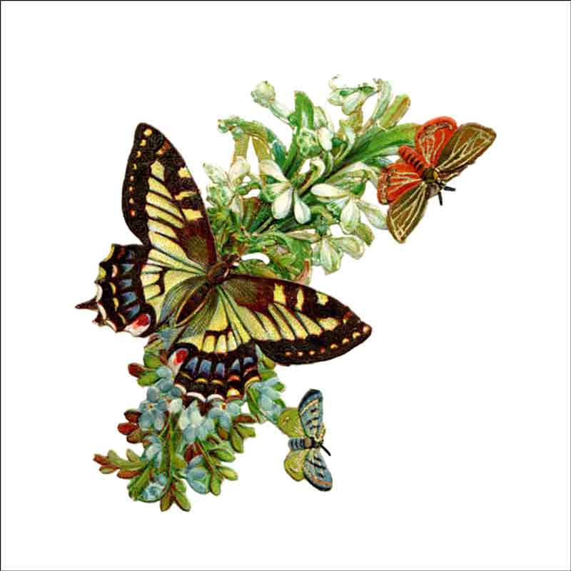 Vintage Butterfly 227 by DP Art Ceramic Accent & Decor Tile ABF227AT