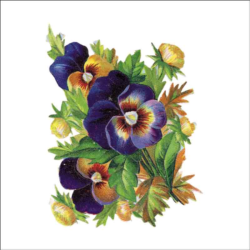 Vintage Flowers 038 by DP Art Ceramic Accent & Decor Tile AFL038AT