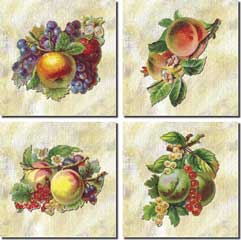 Vintage Fruit Art Ceramic Accent Tile Set 1 6" x 6" - AFR-Set1