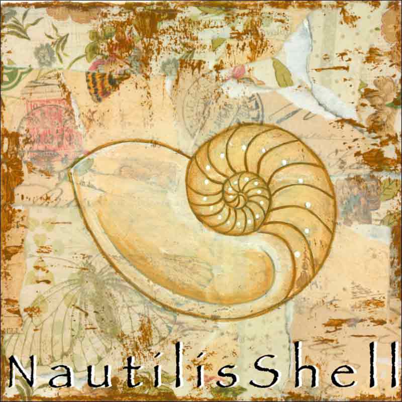 Sea Life: Nautilus Shell by Bridget McKenna Ceramic Accent & Decor Tile - CCI-BRI256AT