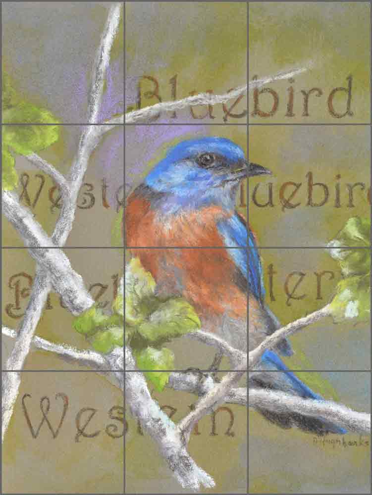Western Bluebird by Debbie Hughbanks Ceramic Tile Mural - DHA075