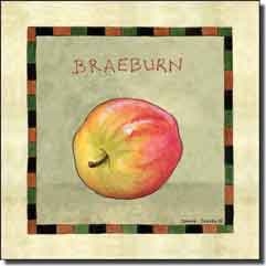 Jensen Fruit Braeburn Apple Ceramic Accent Tile  - DJ040AT