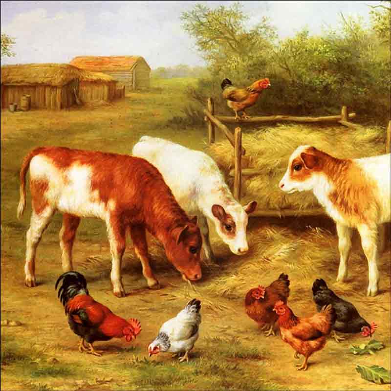 Calves and Chickens Feeding in a Farmyard by Edgar Hunt Ceramic Accent & Decor Tile EH002AT