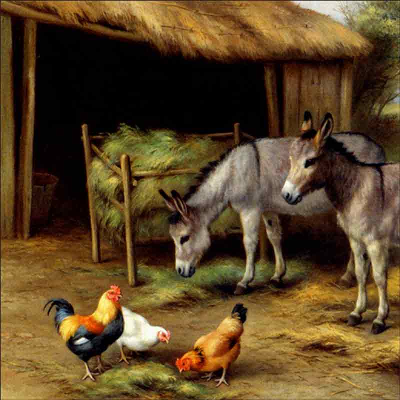 Donkeys and Poultry by Edgar Hunt Ceramic Accent & Decor Tile EH029AT