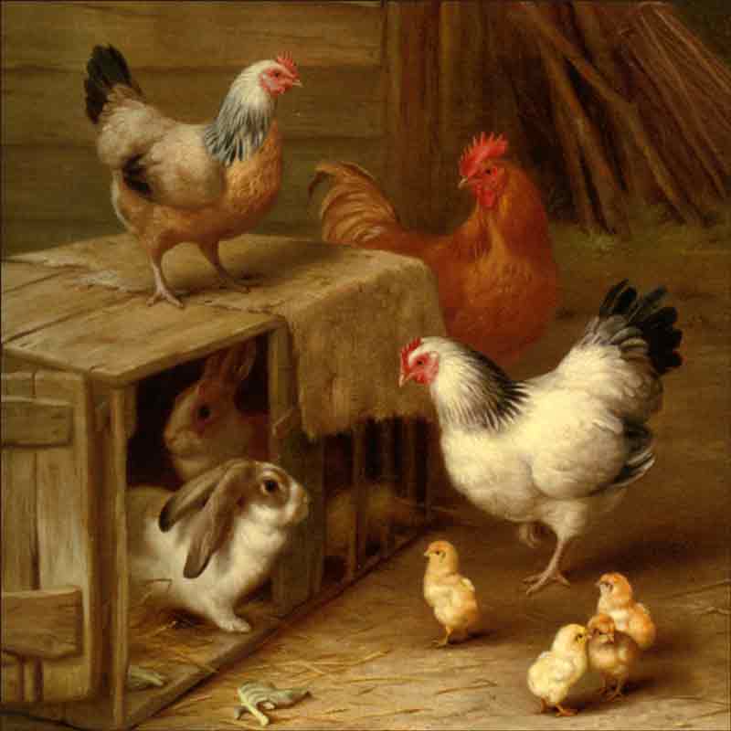 Cockerel Hens, Chicks and Rabbits by Edgar Hunt Ceramic Accent & Decor Tile EH036AT