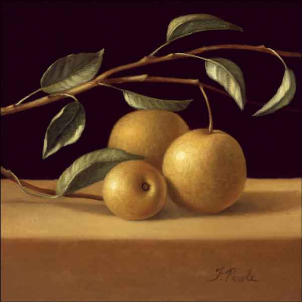 Poole Pears Fruit Ceramic Accent & Decor Tile - FPA009AT