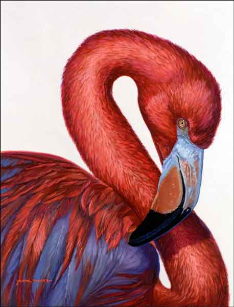 Flamingo by Jack White Ceramic Accent & Decor Tile - JWA005AT