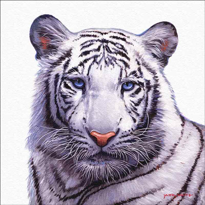 Siberian Tiger by Jack White Floor Tile Accent Mural JWA021