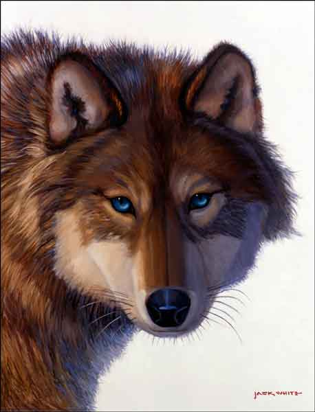 Wolf by Jack White Ceramic Accent & Decor Tile - JWA028AT