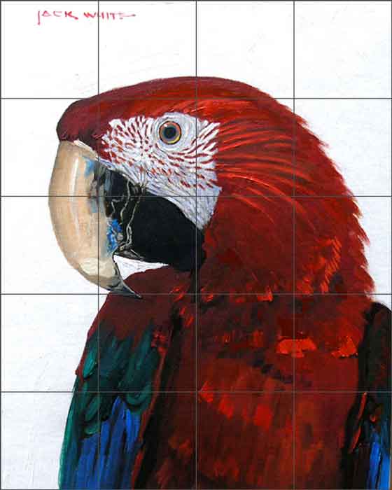 Red Parrot by Jack White Ceramic Tile Mural JWA031