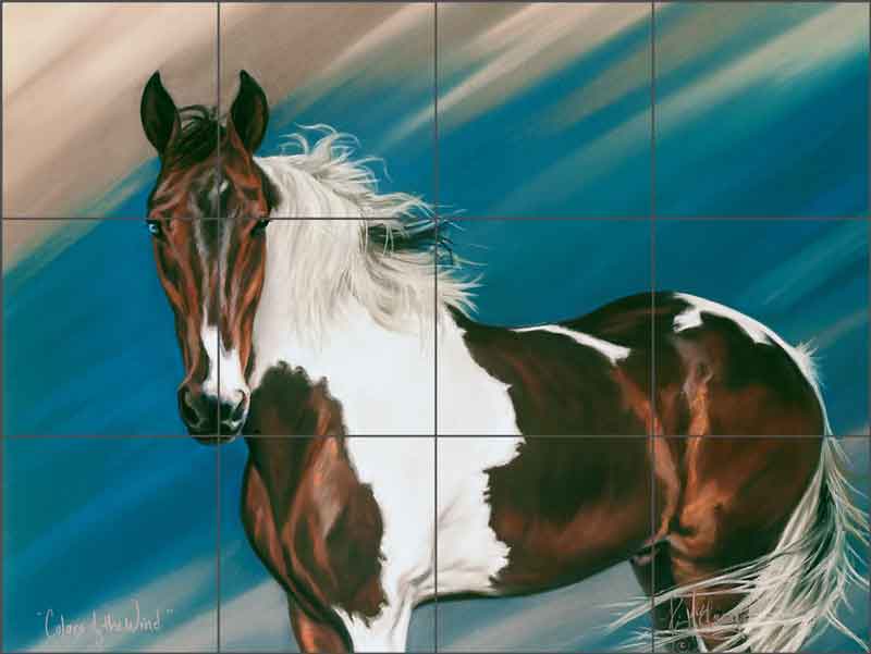 Colors of the Wind by Kim McElroy Ceramic Tile Mural - KMA037