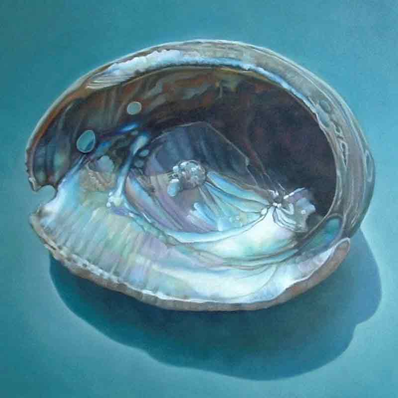Abalone Shell by Leslie Macon Ceramic Accent & Decor Tile LMA039AT