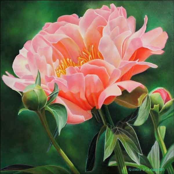 Peony Study II by Leslie Macon Ceramic Accent & Decor Tile - LMA061AT