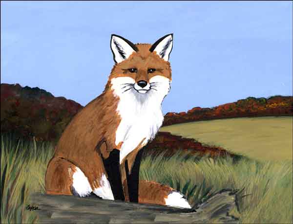 Fox by M. K. Zeppa Ceramic Accent & Decor Tile - MKZ005AT