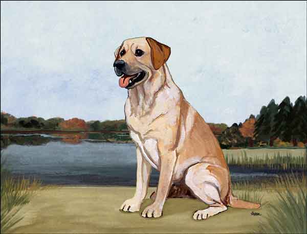 Yellow Lab by M K Zeppa Ceramic Accent & Decor Tile - MKZ013AT
