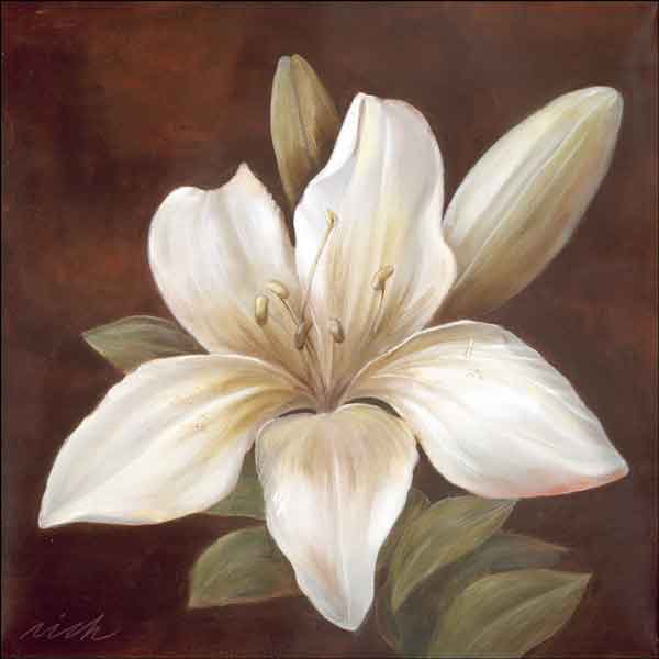 White Lily by Wilder Rich Ceramic Accent & Decor Tile - OB-WR1336AT