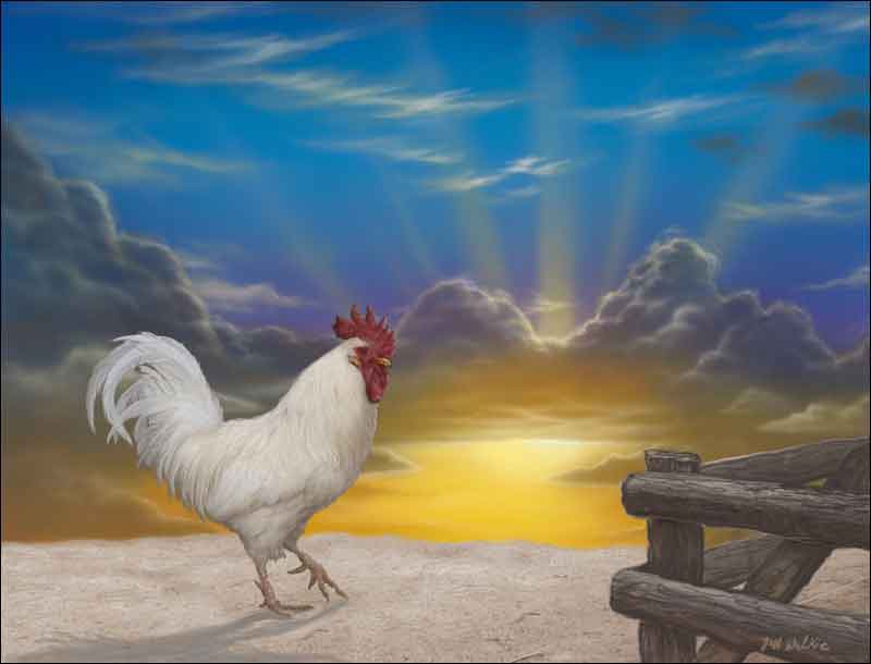Rooster Sunrise by Jeff Wilkie Ceramic Accent & Decor Tile - POV-JWA029AT