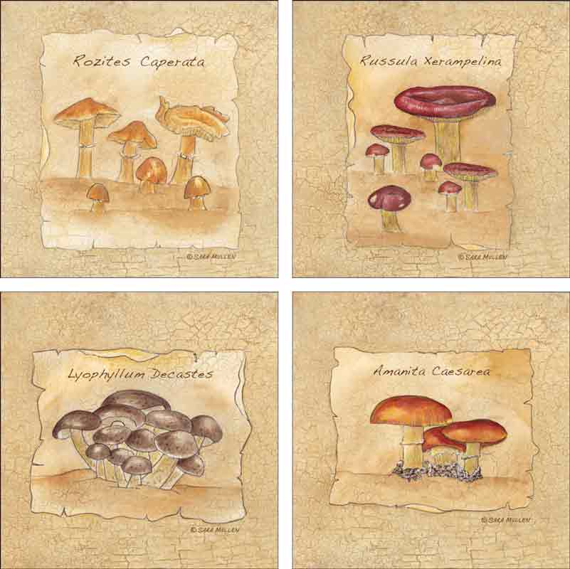 Mushrooms Set 1 by Sara Mullen Ceramic Accent & Decor Tile Set SM-ATSet1
