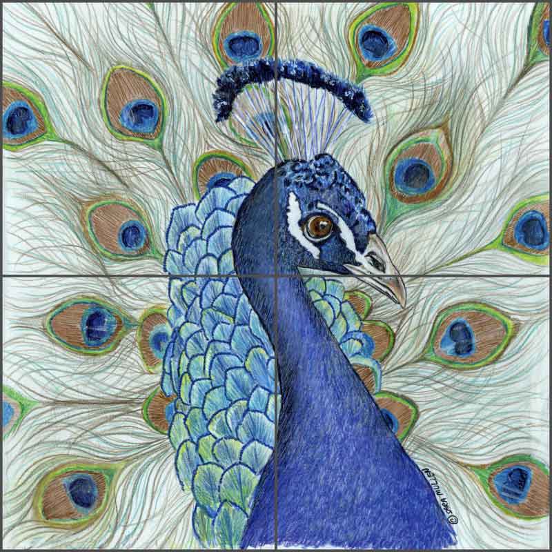 Peacock by Sara Mullen Ceramic Tile Mural - SM043