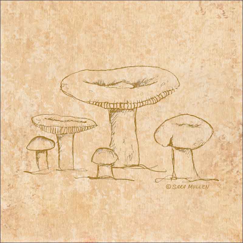 Mushroom Pattern 3 by Sara Mullen Ceramic Accent & Decor Tile - SM140AT