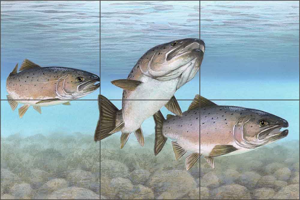 Atlantic Salmon by Tim Knepp Ceramic Tile Mural - TKA002