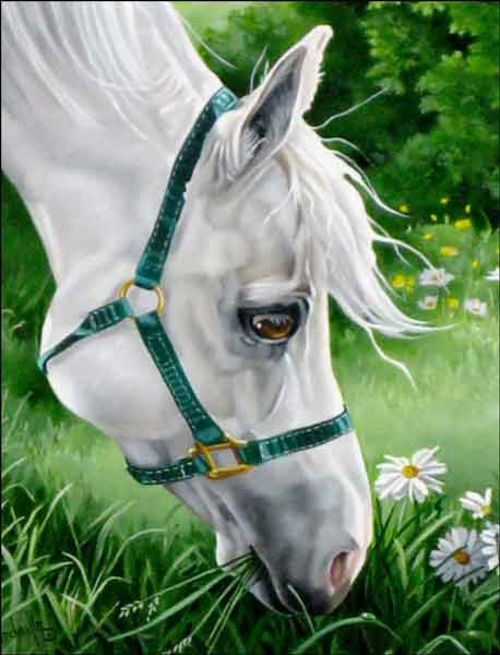 Don't Eat the Daisies by Verdayle Forget Horse Art Ceramic Accent & Decor Tile - VFA014AT