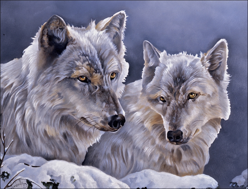 Wolves by Verdayle Forget Ceramic Accent & Decor Tile - VFA028AT